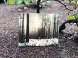 Custom 6x6 Real Wood Print